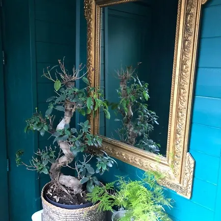 Apartamento 3daliphard