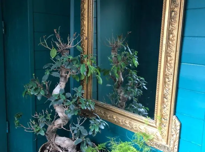 Apartment 3daliphard